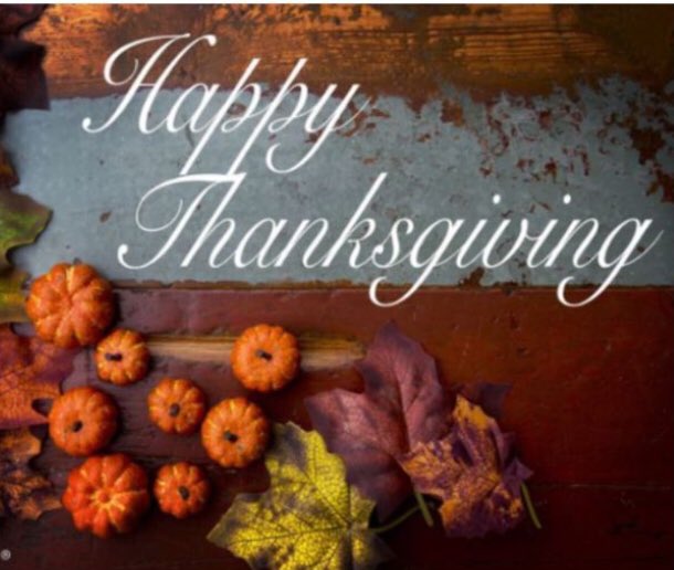 Wingsite Displays tweet media