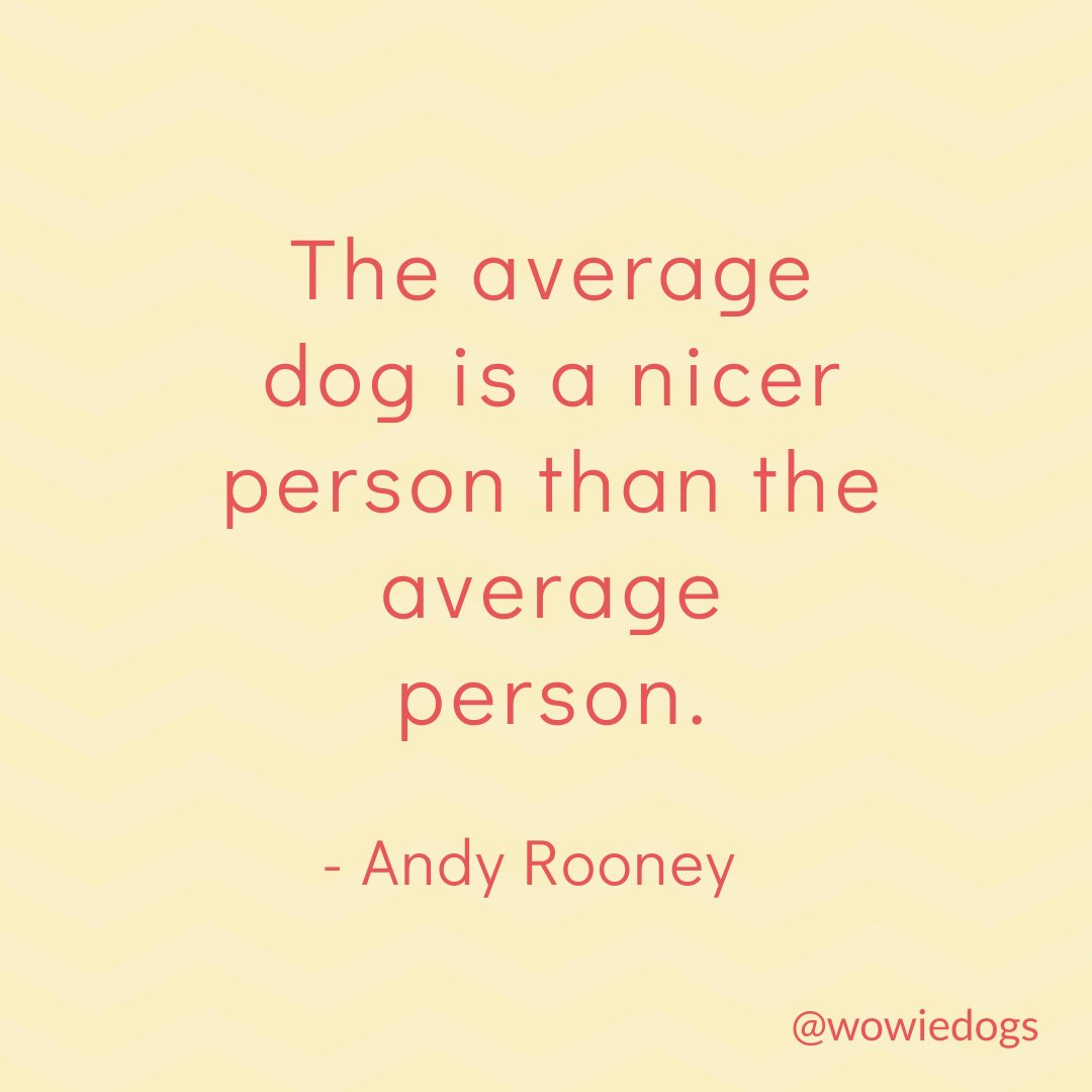 wowiedogs's tweet photo. But even if you were almost as nice as a dog, you'd be a very nice person! π πΆ
πΎ
#doglove #gooddog #quotes #dogquotes #quotestoliveby #dogs #quotesdog #wowiedogs https://t.co/hygznOxDUu