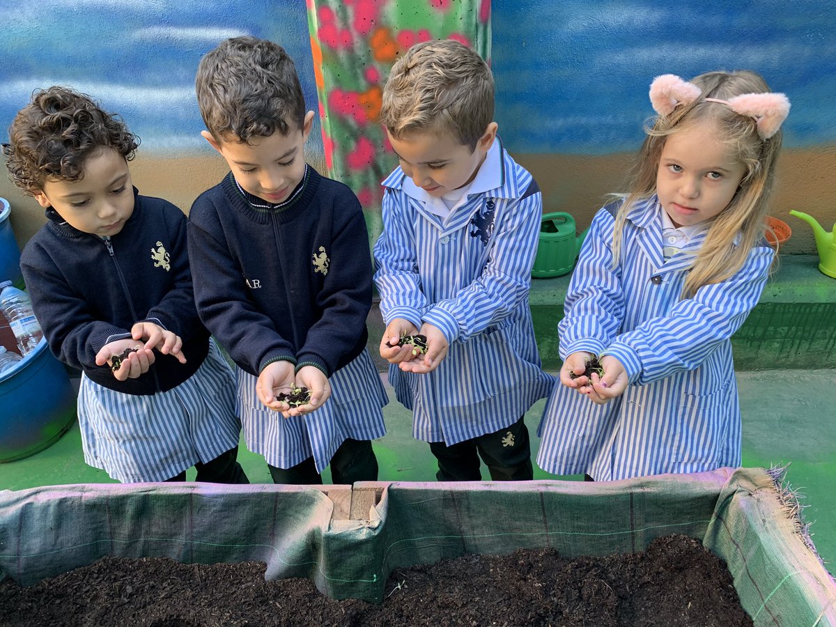 Huerto escolar 
Esta semana hemos trasplantado los plantones de los semilleros a nuestro huerto escolar. Los de secundaria nos han ayudado a rellenar con tierra y los de infantil hemos puesto las plantas que habíamos estado cuidando con mucho cariño.
