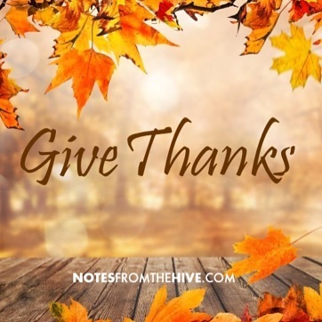 NotesfromHive's tweet image. It feels even more important this year to let your friends and family know that you’re thinking of them and that you’re thankful for their presence in your life. Hope you have a wonderful holiday filled with gratitude, joy and health. #thanksgiving #give… instagr.am/p/CIDhyV2n9LO/