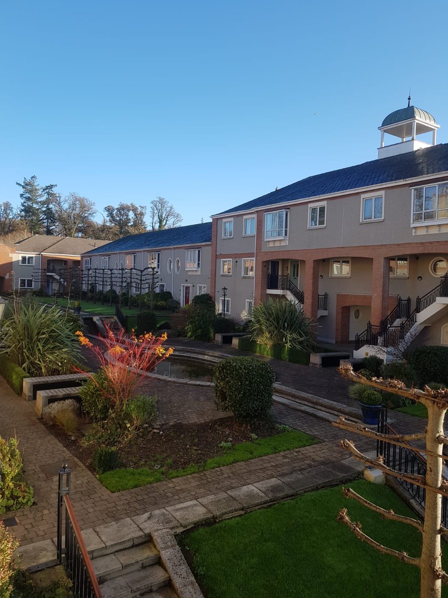 FrenchEstates2's tweet photo. Beautiful soft winters day for a private viewing by appointment
ππ½ββοΈβ³οΈππ #TheKClub #WinterSun #wintercolour #BlueSky #RealEstate #FrenchEstates #MarketMovers #ExperienceMatters #GolfCourseProperty #GolfCourseRealEstate #Straffan https://t.co/jPASwJ3wNt