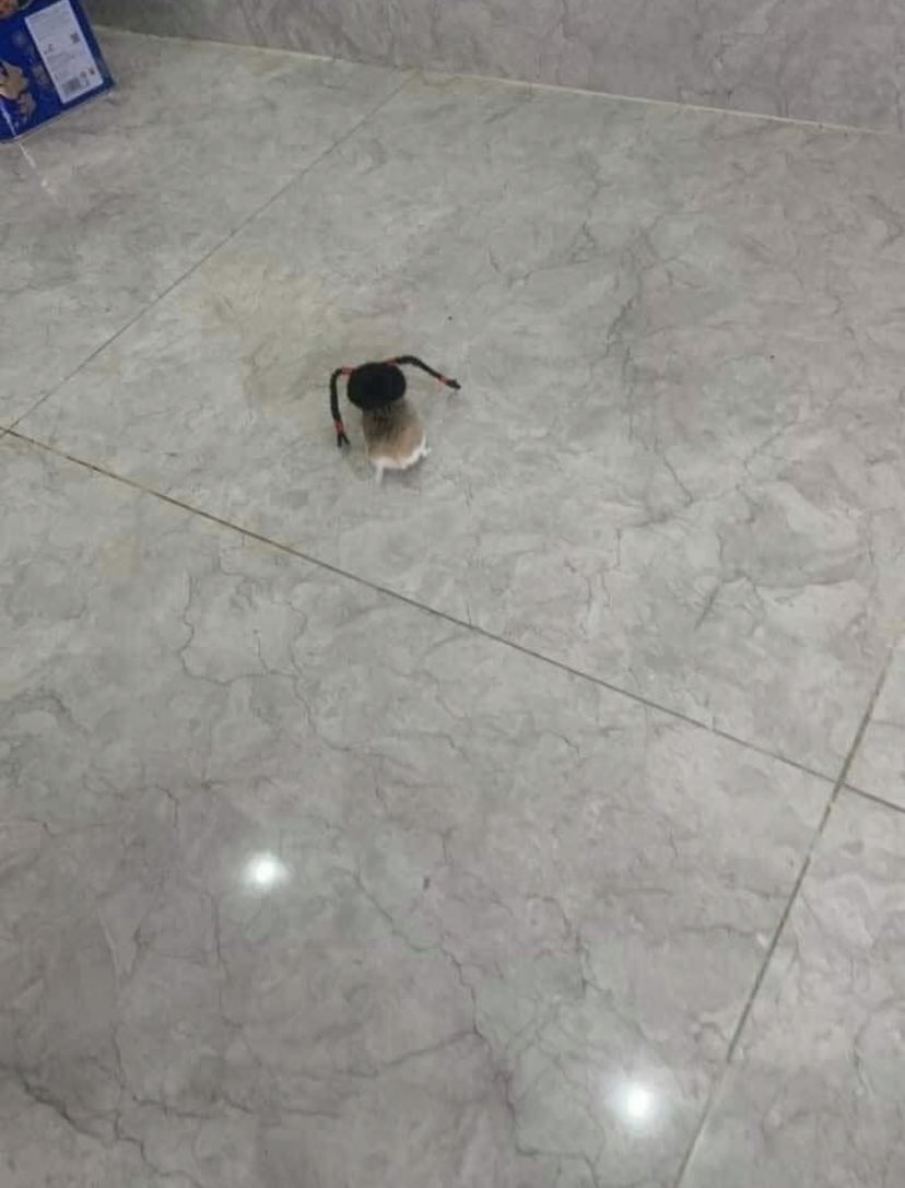 อย่าแกงน้อง55555555555555555555555555555555555555555555