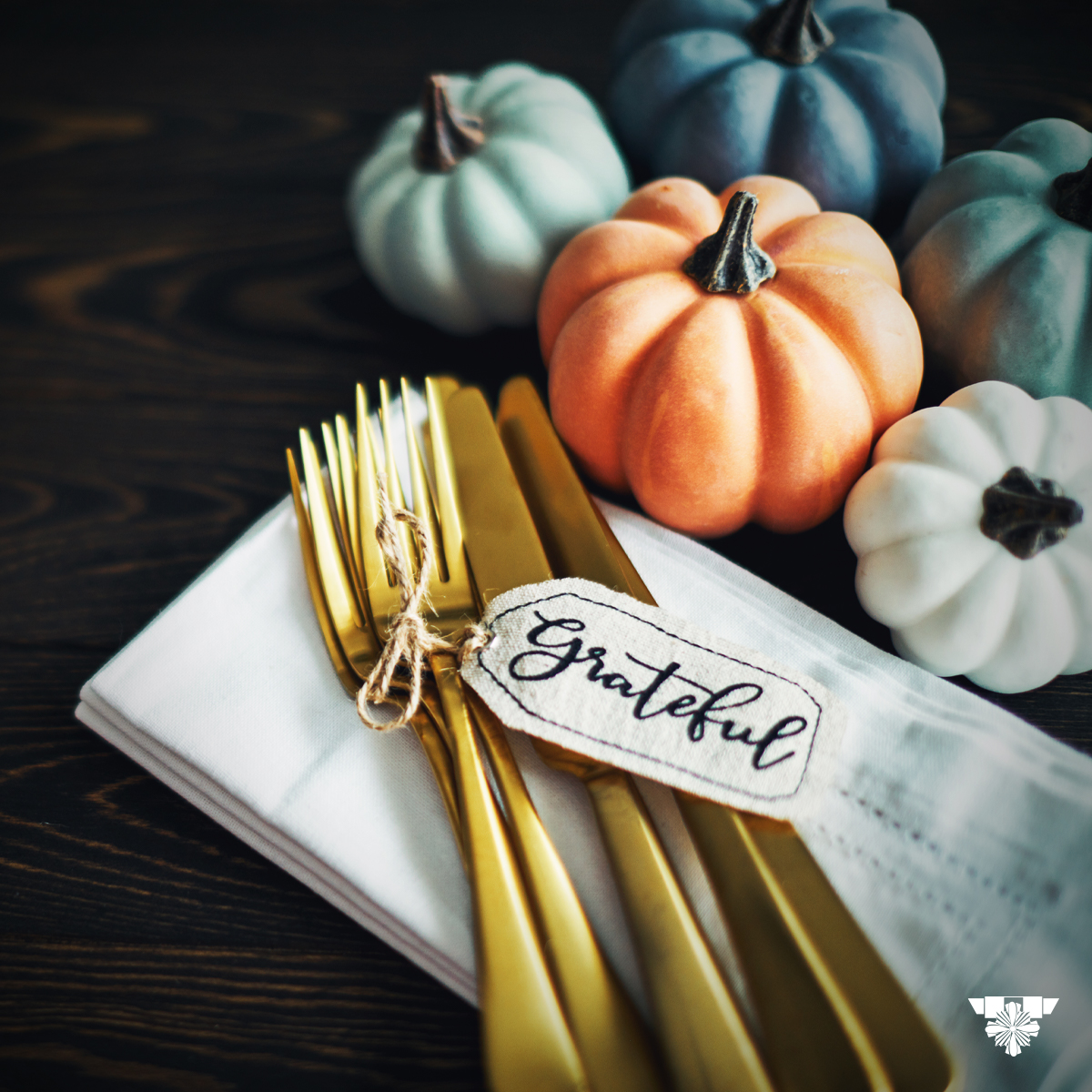 Happy #Thanksgiving from #FlyingCross.