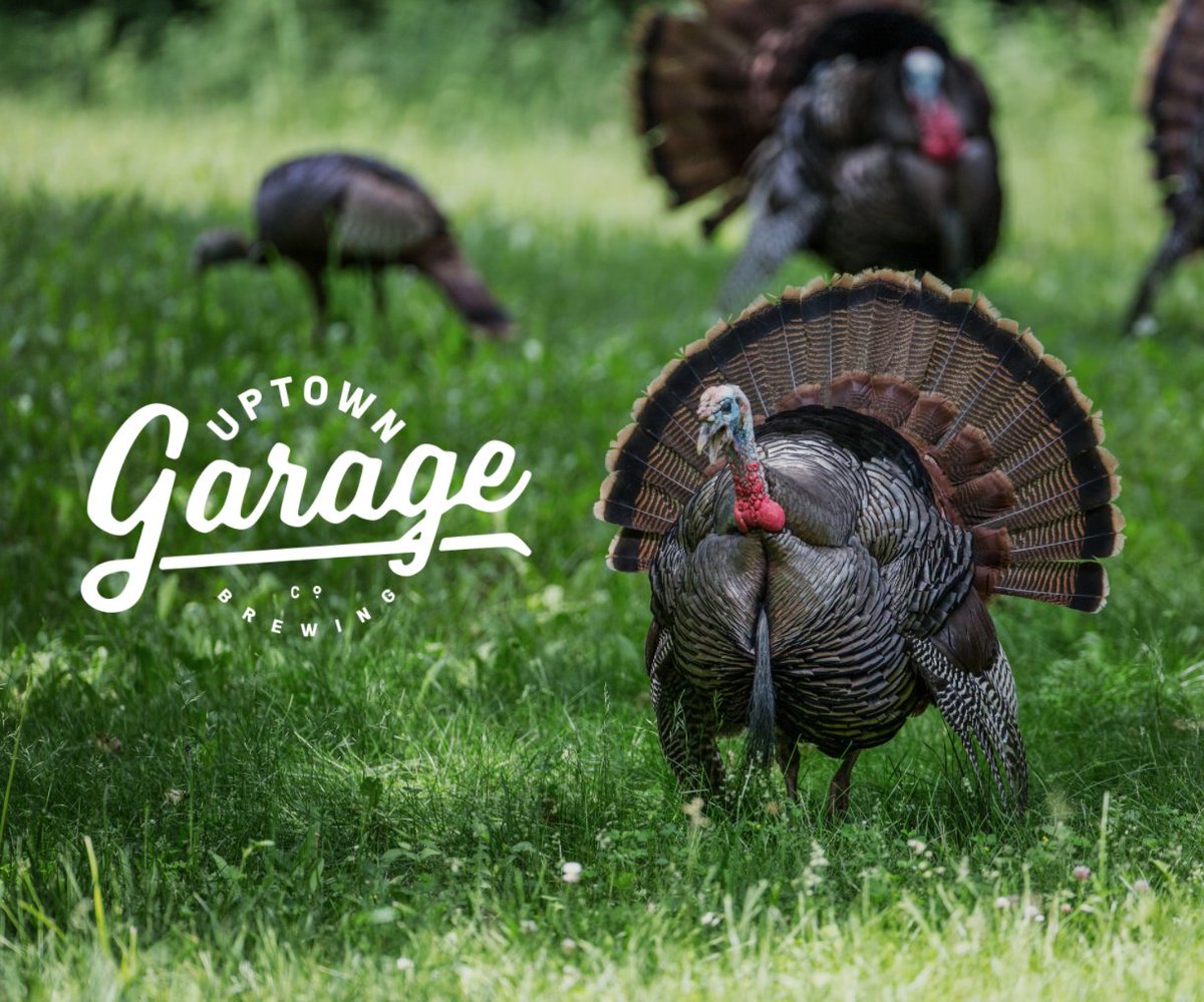 Happy Thanksgiving from all of us at Uptown Garage! May you all have some good times and a cold beer in your hand! 🍺#cheers