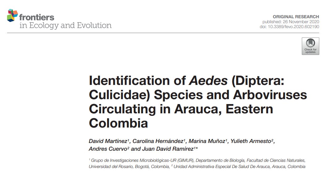 jdramirez24's tweet photo. Our recent paper published in @FrontEcolEvol is finally online. We conducted a comprehensive description of Aedes species and arboviruses circulating in eastern Colombia @gimur_lab @fcn_ur @davidfmart @DcaHernandezc @marinamunoz87 @URinvestigacion 

https://t.co/1kT8tWirZ8 https://t.co/eNFCKJL6xt