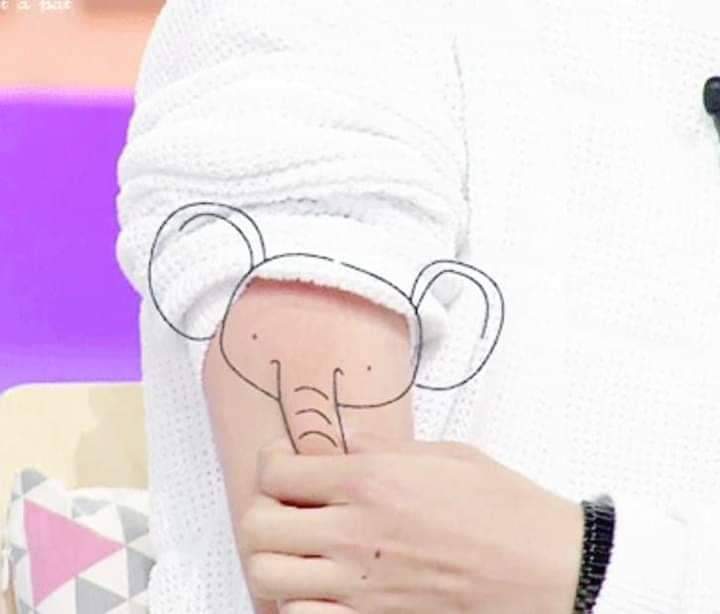 his elephant mole :(