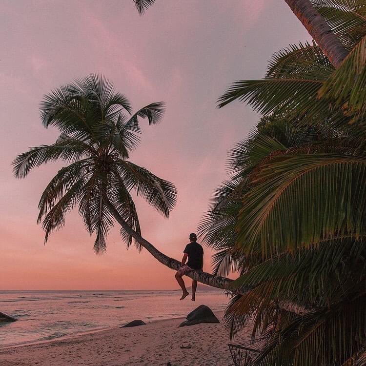 Le serate alle Seychelles 🇸🇨 sono sempre calde ed invitanti, quindi è facile godersi i tramonti 🌅 quasi tutto l’anno.
#traveldiscovery #oltreilviaggio #seychelles #visitseychelles #torniamoaviaggiare #noicisiamo 
🌎 travel-discovery.su