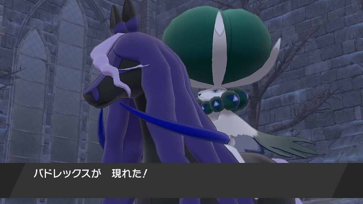 みづち いくぜー 魅盾 ポケモン剣盾 Nintendoswitch