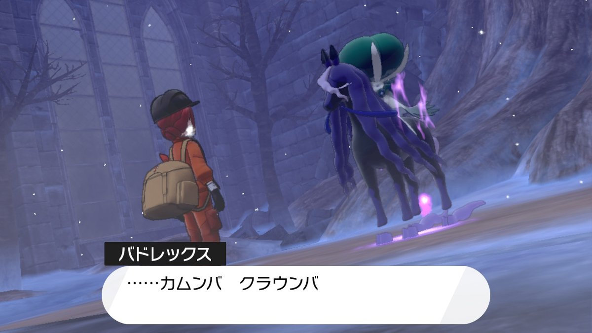 みづち いくぜー 魅盾 ポケモン剣盾 Nintendoswitch