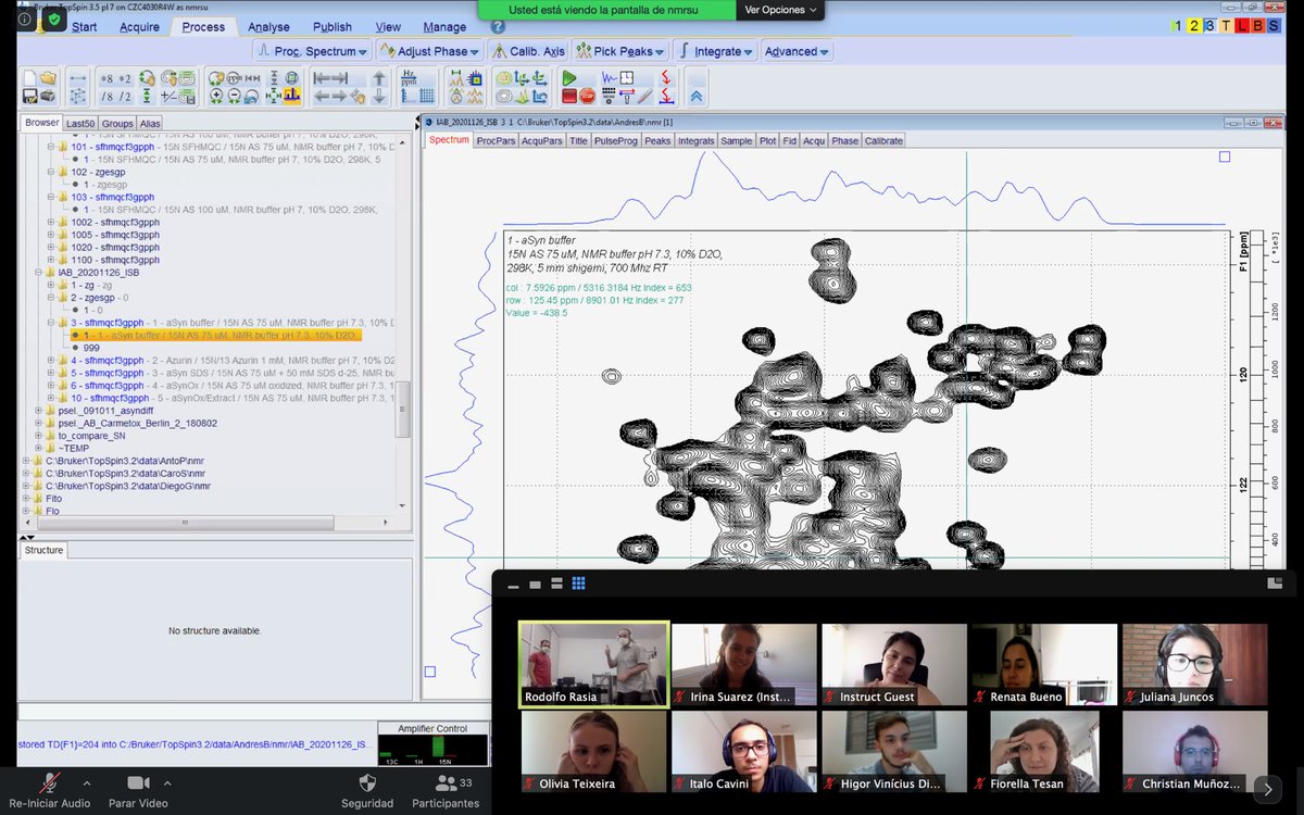 In an unprecedented experience <a href="/FitoDeRosario/">Rodolfo Rasia</a> and <a href="/ABinolfi/">Andrés Binolfi</a> teach the #NMR practical session #live at the INSTRUCT course “Structural Biology in Latin America” <a href="/IBR_CONICET/">IBR</a> <a href="/Plabem1/">PLABEM</a> <a href="/instructhub/">Instruct-ERIC</a> <a href="/claudialenamaro/">Claudia Alen Amaro</a> <a href="/MaNataliaLisa/">María Natalia Lisa</a>