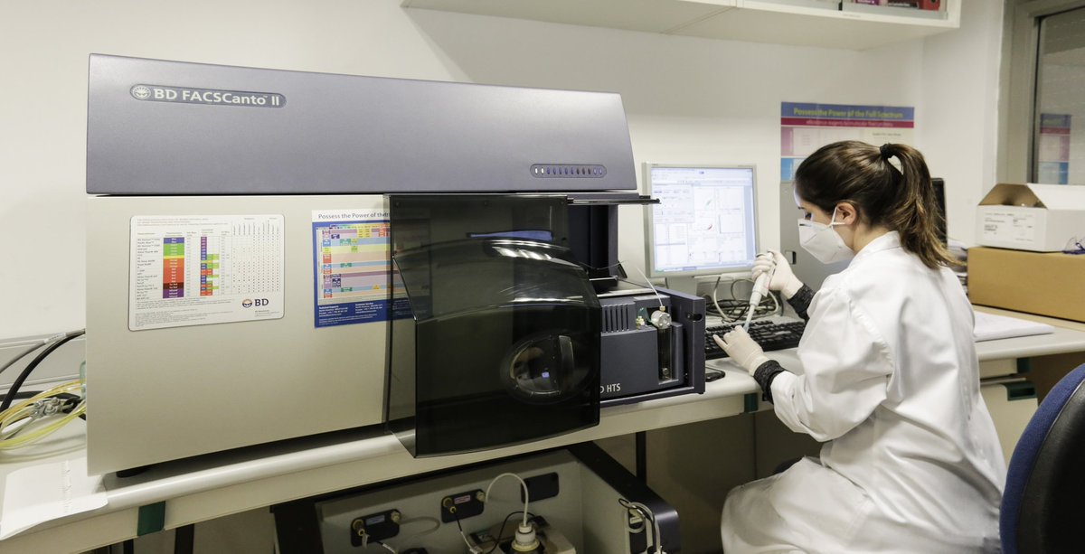 Algun@s compañer@s del @IDiBE_UMH dándolo todo en los laboratorios #umh #Ciencia #investigacion https://t.co/8Jvlby0mFX
