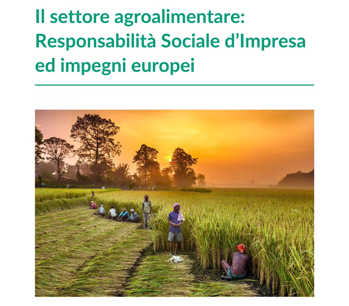 Aware_thinktank's tweet photo. 🌱Il nuovo paper a cura di @AdrianoFalcone e @Lorenz0830 indaga il tema dell’ #RSI nel settore #agroalimentare e le iniziative che l’ #UE sta mettendo in pratica per ridurre le limitazioni all’adozione della RSI nel settore: la #PAC.

Leggilo qui👇
https://t.co/nU5cbC0dJv https://t.co/uy5qiZVqia