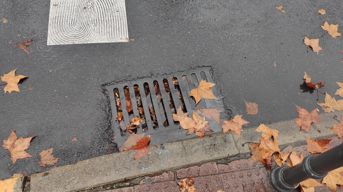 Esto es lo que ocurre al caer cuatro gotas en #Fuenlabrada por la falta de mantenimiento del alcantarillado (Canal Isabel II)

📍C/ Móstoles con Avda Europa