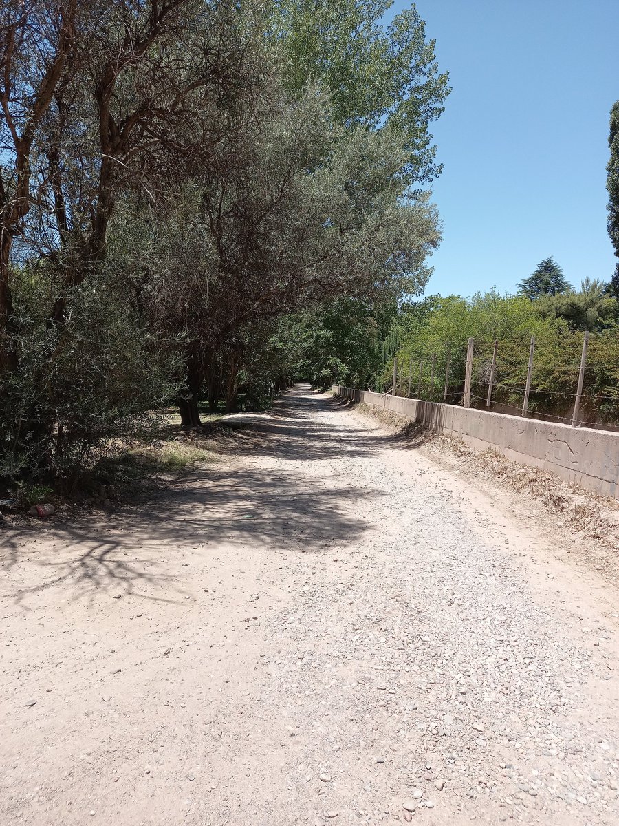 senetiner's tweet photo. NECESITO ATENCION DE INMEDIATO! Quiero comunicar que estuve llamando hace un mes, a la municipalidad de @lujandecuyo, y no obtengo respuestas, debido a la falta de luces que hay en la calle, y que lleva a que nos roben las ruedas en estas 2 cuadras.@omardemarchi
AYUDEN A RT! https://t.co/JqGiaE5cAH