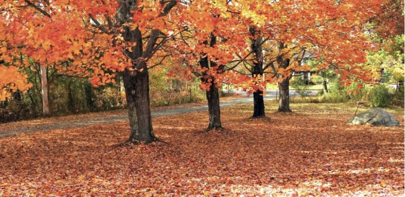 From our staff at GOHSEP, Happy #Thanksgiving. While holiday celebrations will be different for many of us this year, I am more grateful than ever for the hard work of state leaders, emergency managers at each level of govt & our health care workers. - GOHSEP Director Jim Waskom https://t.co/PbbuKsZvbK
