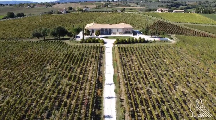 III tappa del Montefalco-Spoleto Grand Tour

Con Antonio Boco vi portiamo a Turrita, nel comune di Montefalco, dove Chiara Lungarotti ci farà scoprire la cantina Lungarotti 

Vi aspettiamo il 28/11 alle 12 sui nostri canali social

#montefalco #spoleto #grandtour #lungarotti