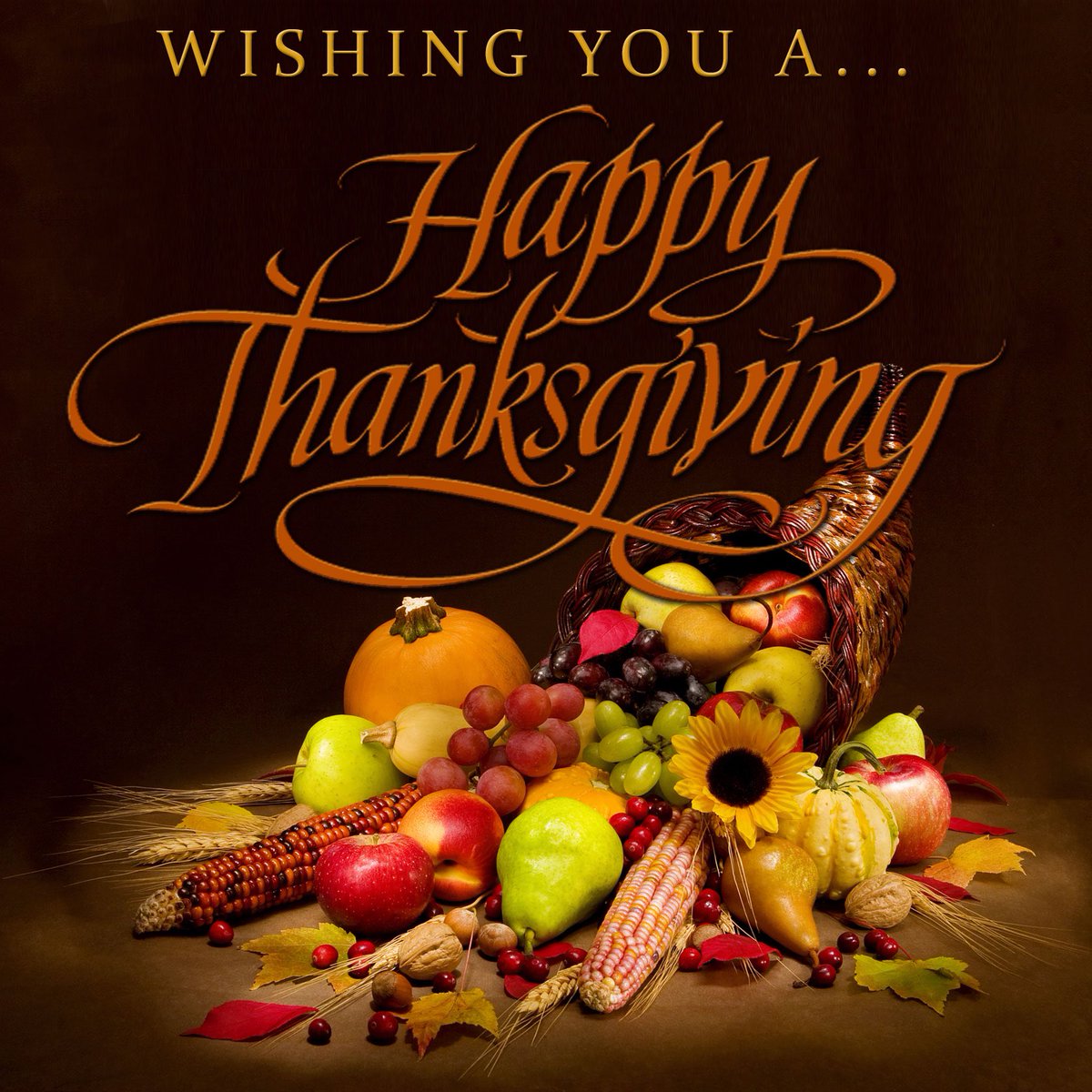 JAG0669's tweet photo. #HappyThanksgiving2020 @JrzyJoePiscopo https://t.co/EWyYCbFDWS