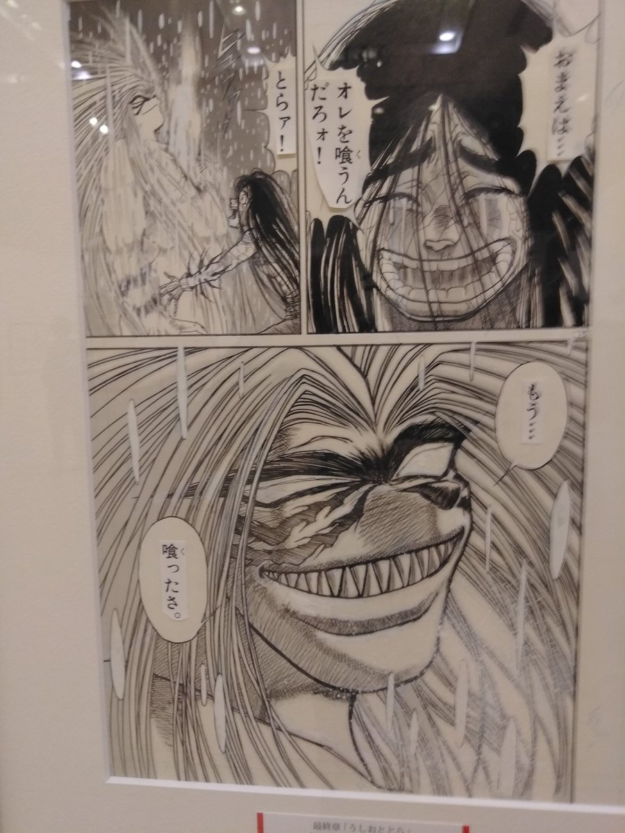 #お前らの好きな最終回晒せ
作品全ての登場人物と運命とが美事一つに集約し、このキャラにこの台詞を言わせた最終回…後世に残る少年漫画になった瞬間だった。