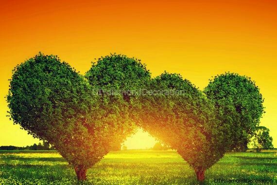 Raiinbow_12's tweet photo. Life and time are the best teachers.
Life teaches us the use of time and time teaches us the value of life.❤ https://t.co/kpbM8pF6SA