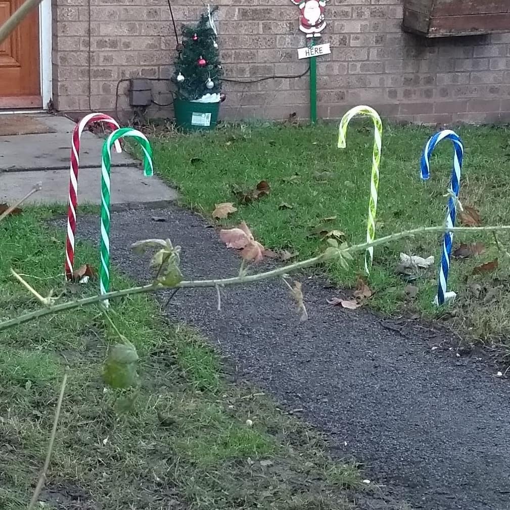 LBasini's tweet image. Didn't fancy a #DailyWalk today, so I went anyway! Here's a photo of my neighbours giant candy cane decorations. instagr.am/p/CIDjD-Mn3rCC…