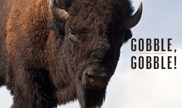 Nichols Baseball (@ncbison_bsbl) on Twitter photo 