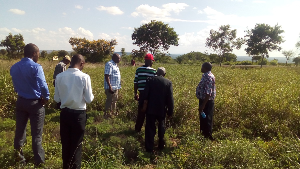 Final research findings of <a href="/WOTRO/">NWO-WOTRO (Inactive)</a> Applied Research Fund project #ROFIP show that rainwater harvesting form roads enhances production of indigenous forage grasses, that are suitable to address land degradation and forage resources. 
knowledge4food.net/arf-3-final-fa…