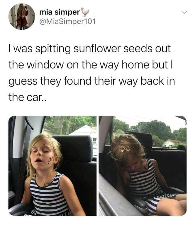 Funniest Memes on Twitter: Funniest Memes on Twitter: