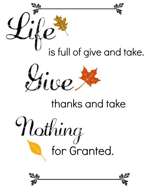 michell81990945's tweet photo. Happy Thanksgiving to All! 🦃🍽🍾🇺🇸 https://t.co/32X0S2Bade