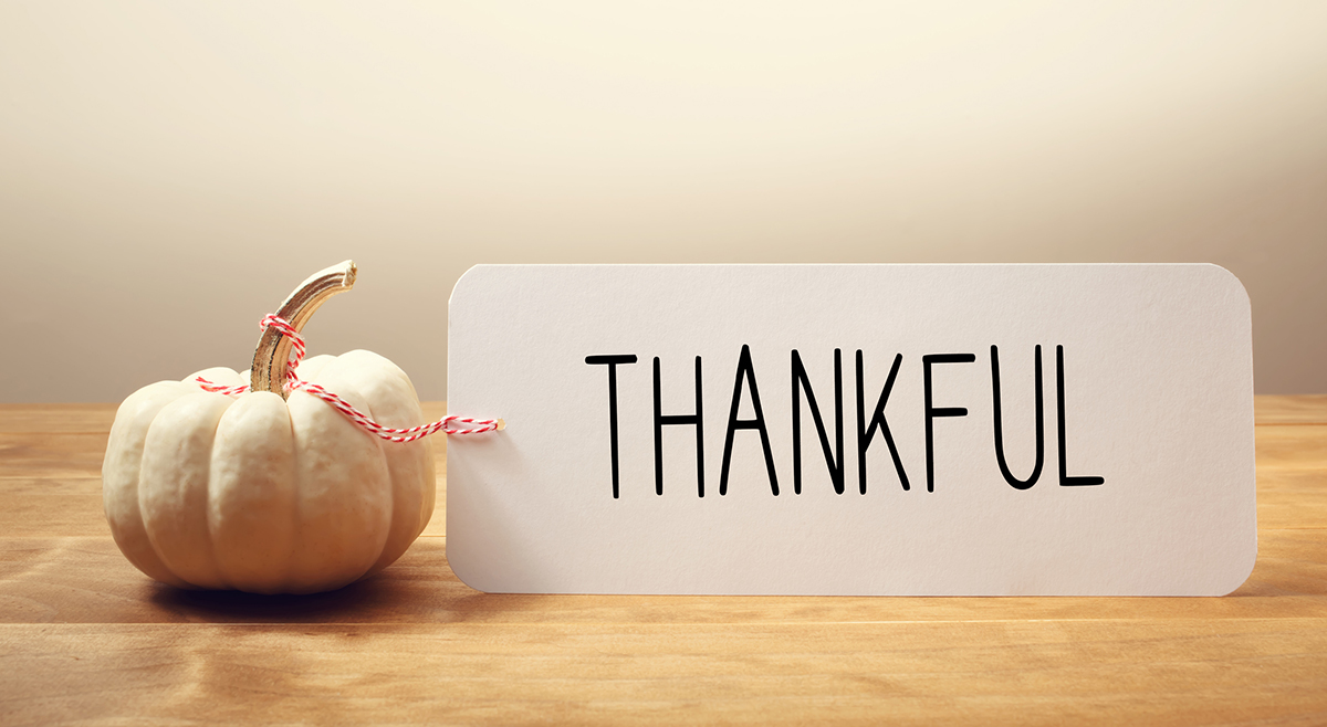 FamAdventures's tweet photo. We are incredibly grateful for the support you've shown us throughout this challenging year. From our family to yours, we wish you a happy and safe Thanksgiving! https://t.co/AAlIMk9HQE