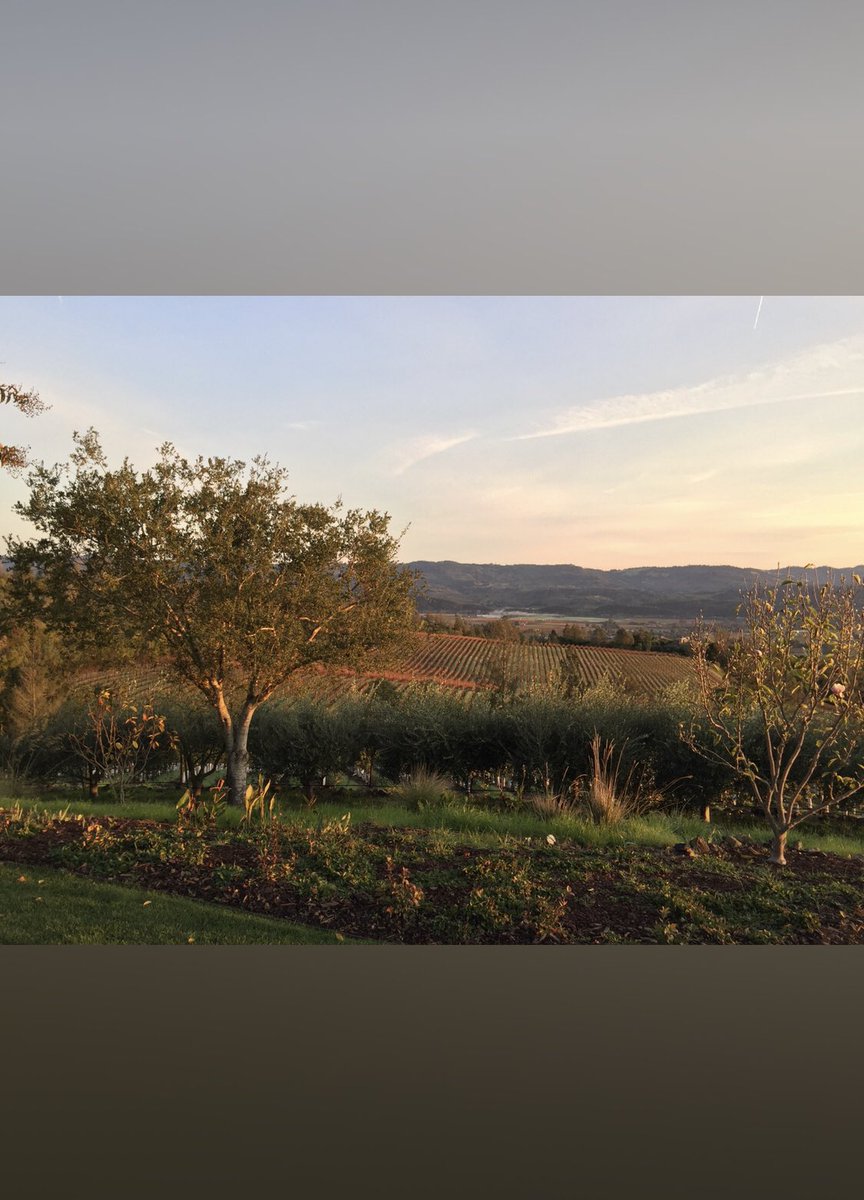 Happy Thanksgiving from our family to yours! Wishing you a wonderful holiday! 

#thanksgiving #grateful #napavalley #itsfromnapa #napaview #fallinnapavalley #mywinemoment #thankyou #blessings #givingthanks #vineyardview #winecountry #winecountryliving #winecountrylife