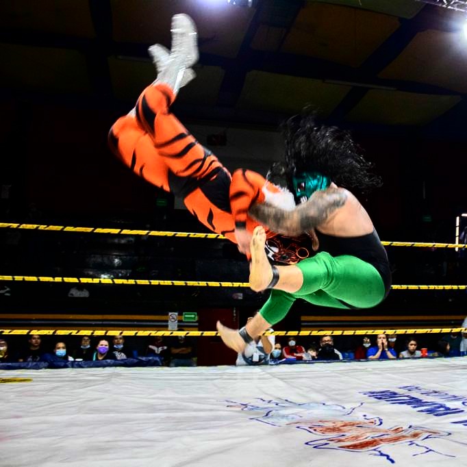 hijodelespectro's tweet image. Ánimo buenos días siempre para delante.
Si no puedes volar, corre .
Si no puedes correr,camina.
Si no puedes caminar,gatea.
Pero hagas lo que hagas , no dejes de avanzar hacia adelante siempre con la cara en alto y todas tus metas bien fija
#fsblabs🐍🐍🐍 #fsbmty #QIKPAK