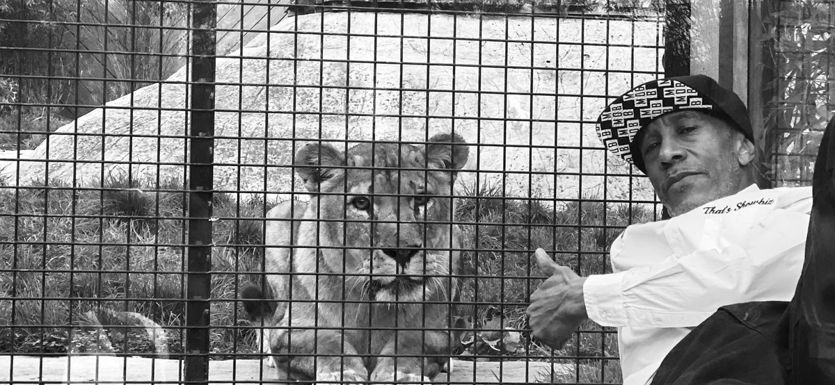DannyJohnJules's tweet photo. Today’s #MentalHeath  #Therapy  #AfricanQueen #Hunter #FamilyPride #FeedTheChildren #Lockdown #LevelTier ⁦@ColchesterZoo⁩ ⁦@FynnbrookCars⁩ ⁦@PremierSignsLtd⁩ ⁦⁦@SimonFrith⁩ #SavingZoos https://t.co/P11uNbhRtE