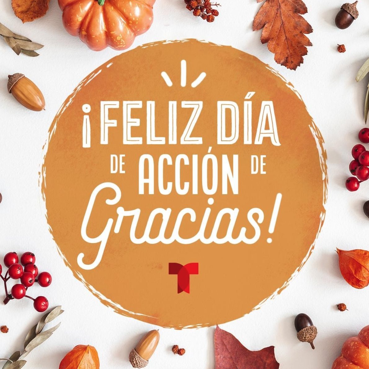 Telemundo on Twitter "¡Les deseamos un Feliz Día de Acción de Gracias