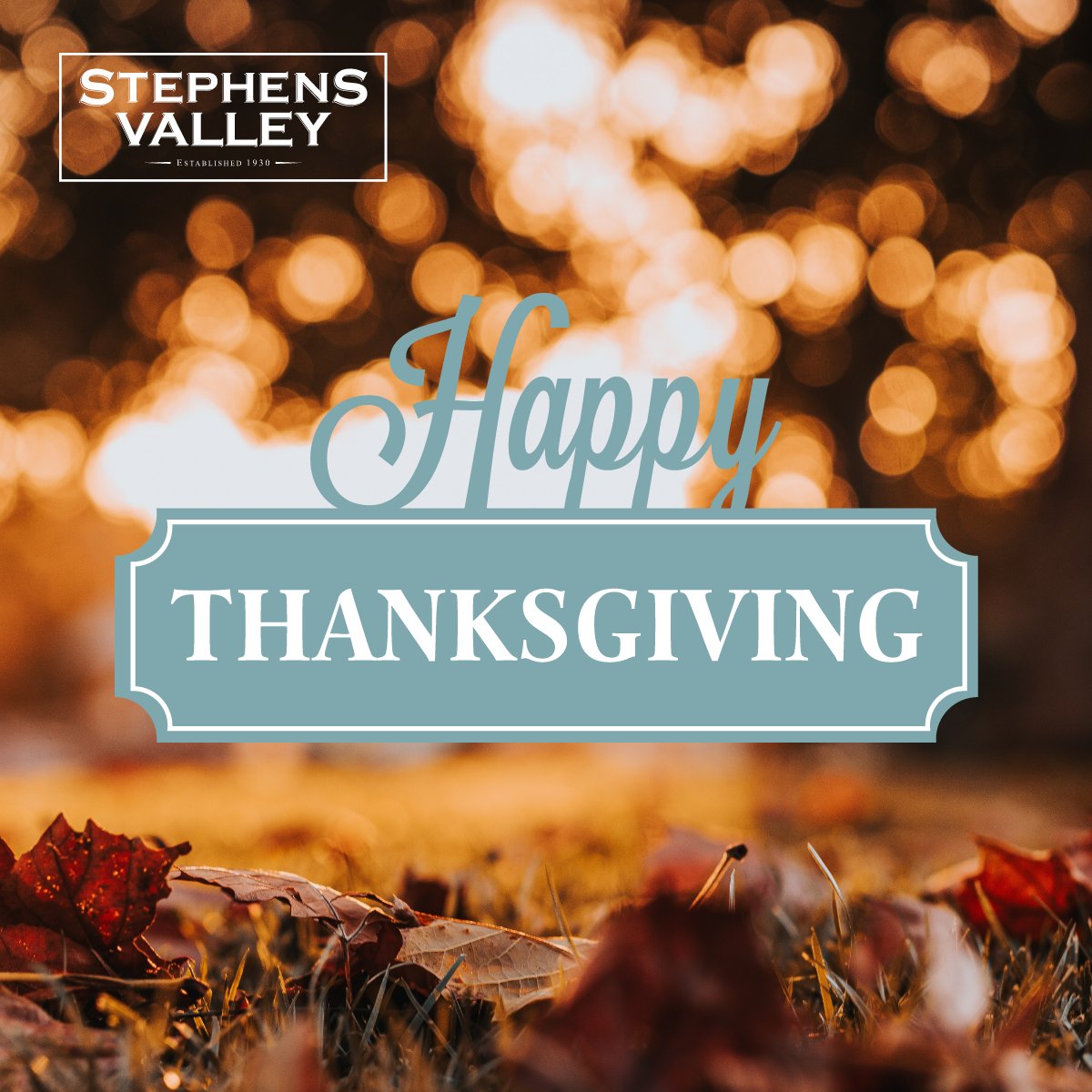 stephens_valley's tweet photo. Thank you for being a part of what makes this community so very special. This #Thanksgiving, we're feeling full of hope for the bright future ahead of us all. Wishing you and yours a wonderful day of memory-making! https://t.co/VTuZpw40e1