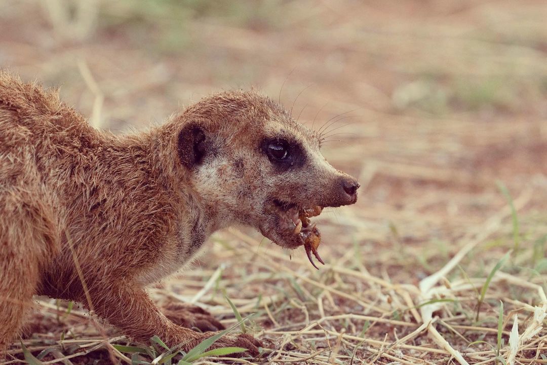 Getaway Magazine tweet media