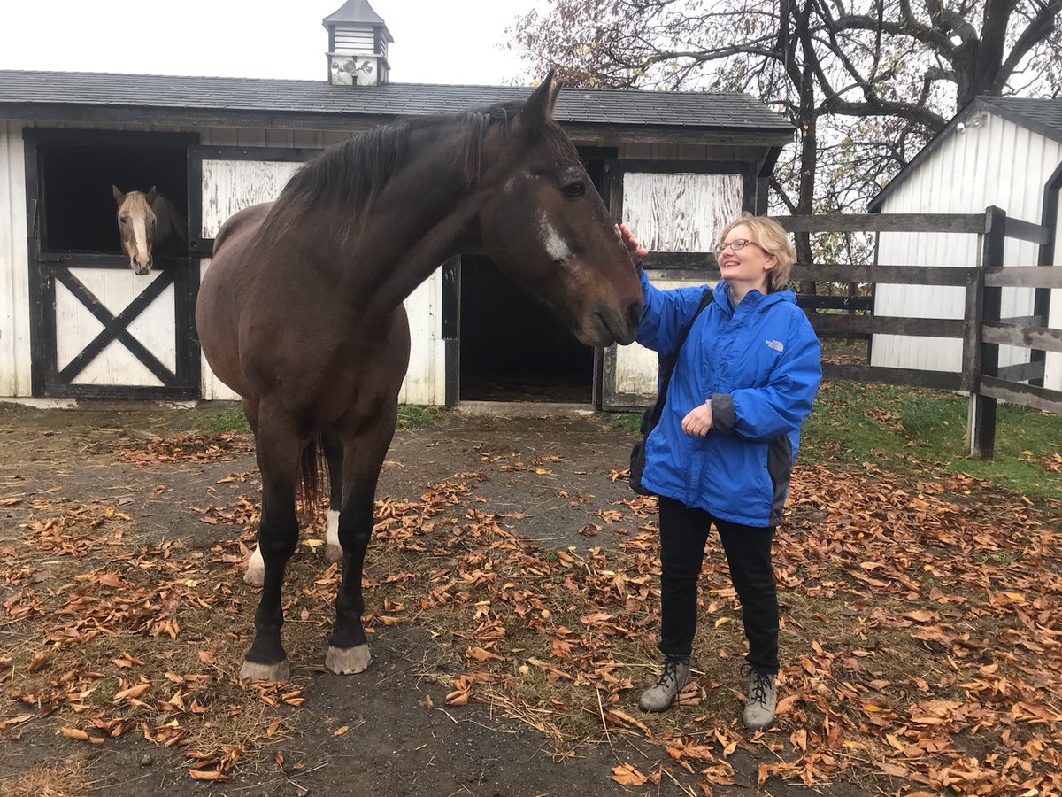 CarriageFreedom's tweet photo. Thankful for @EquineAdvocates who have given former Philly carriage horse Mark (shown before and after) a loving forever home. Carriage horses suffer greatly - it is time for the cruel and outdated practice of horse-drawn carriages to be banned!
https://t.co/wIwufRKVKA https://t.co/ANthxfKZaV