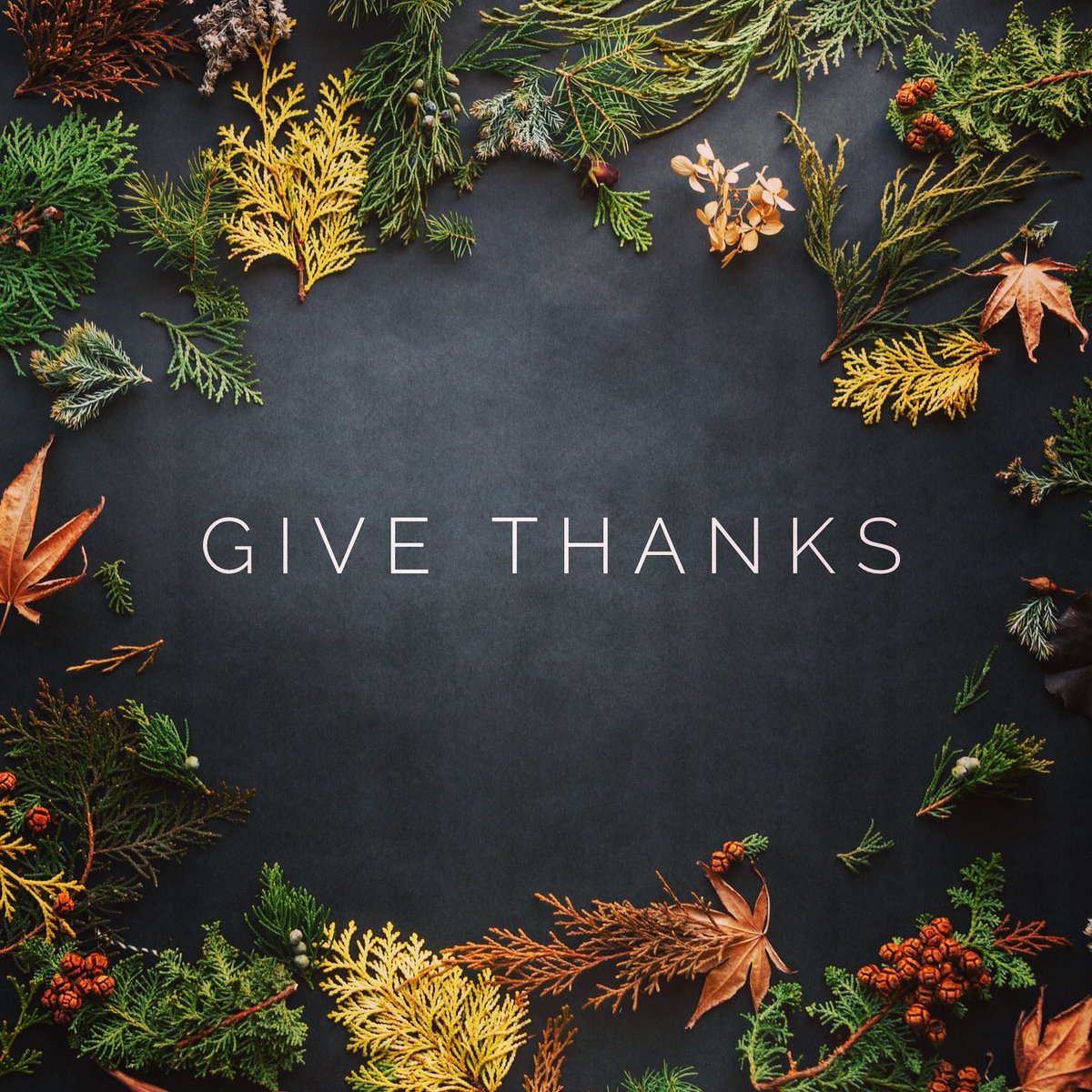 PeakFinancialG1's tweet photo. Thankful for our awesome clients! #HappyThanksgiving https://t.co/bjwFEzIOFk