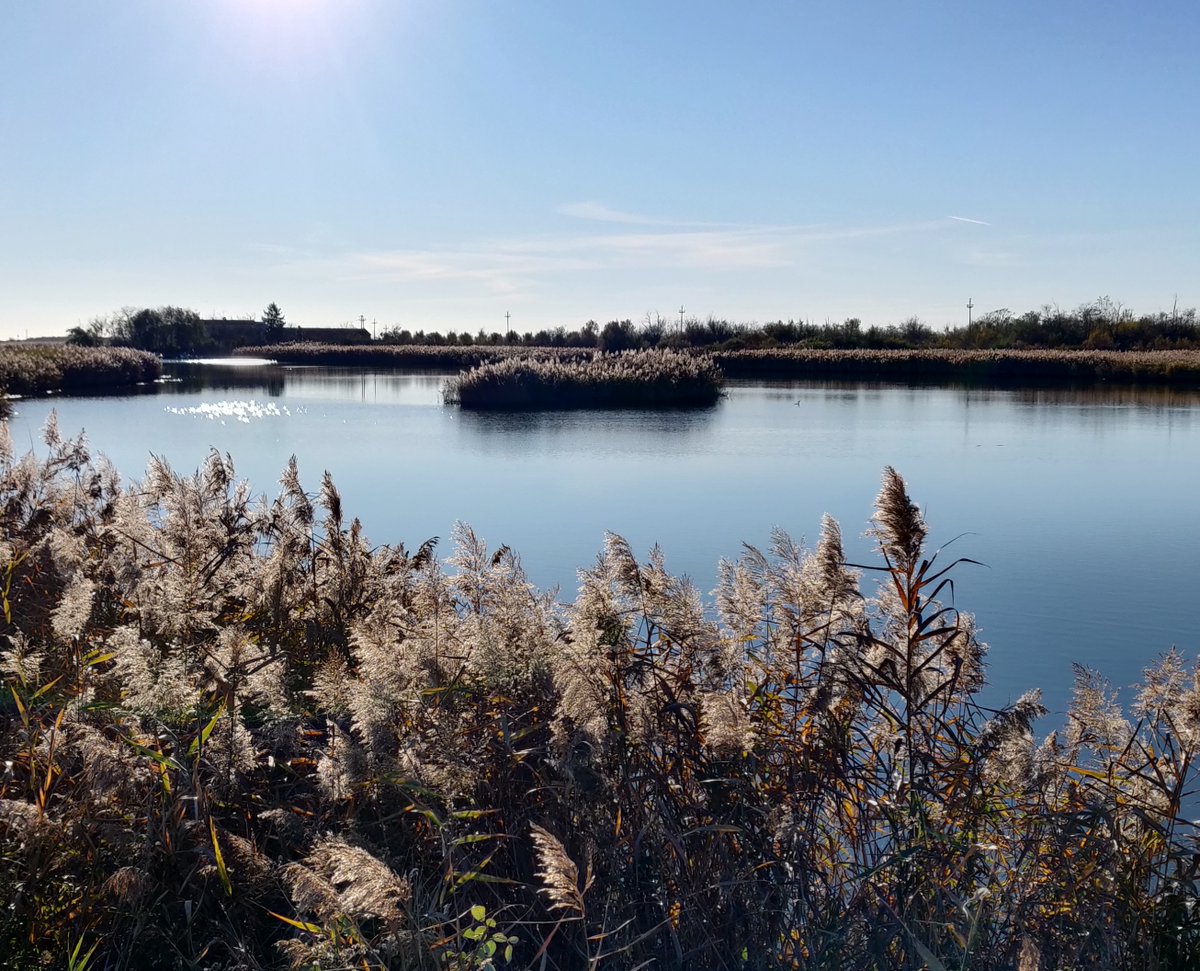 #Oasilabrussa #vallevecchia a breve interessanti novità per visitare uno dei luoghi più belli del nord adriatico. Tra acqua e terra... Seguiteci. Bikeandgo Oasi la Brussa Birrificio Artigianale B2O