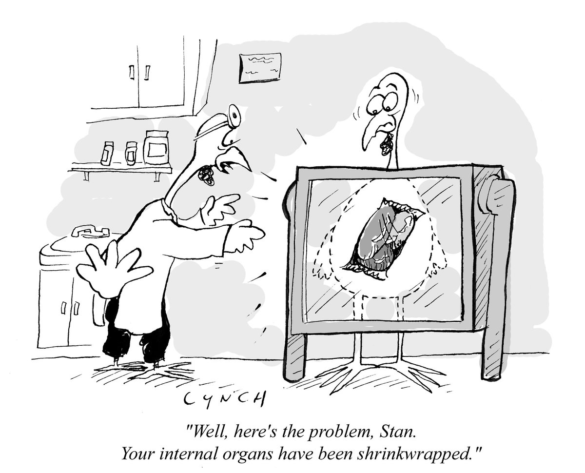 lynchcartoons's tweet photo. A #thanksgivingcartoon for today: "Well, here's the problem, Stan, Your internal organs have been shrinkwrapped!" #poorstan #thanksgiving #turkeys #medical #xray #internalorgans #shrinkwrap #mikelynchcartoons https://t.co/Qx6tckjjDY