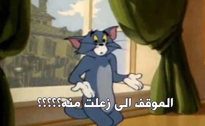 لما ازعل من حد بحبه ويجي يصالحني..