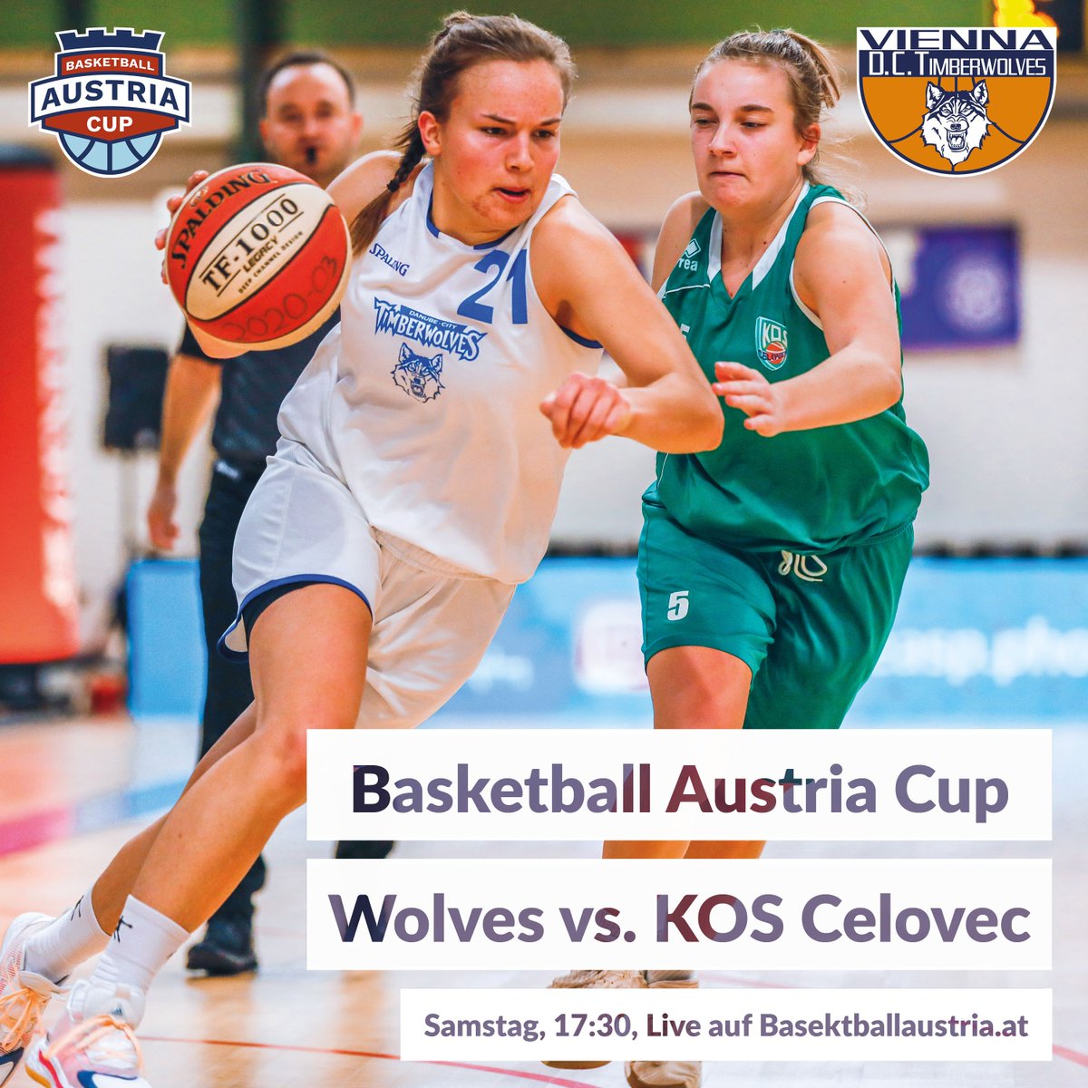 Unser Wölfinnen sind bereit für den Angriff auf das dritte #CUP-Halbfinale in Folge. Am Samstag geht es im Viertelfinale gegen KOS Celovec  um den Einzug ins Halbfinale. Wir wünschen unseren 🐺 viel Erfolg! 💪🏀.
LIVE zu sehen auf basketballaustria.at ab 17:30.
#dctimberwolves