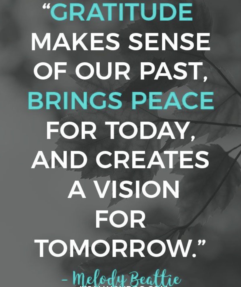 ArmestoEye's tweet image. #HappyThanksgiving We love eyes💚