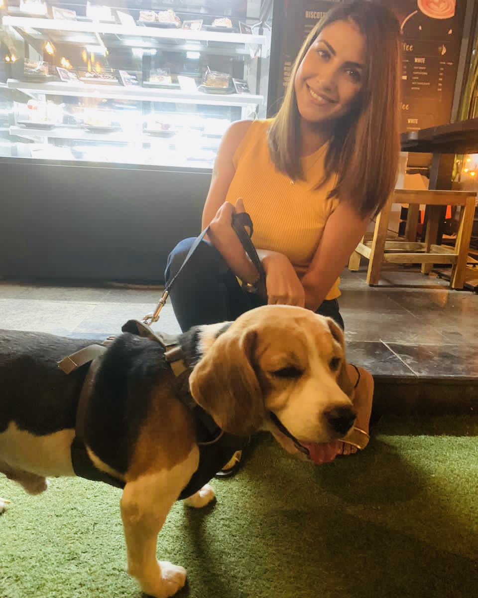 whitespeaking's tweet photo. Itโs a Date ! ๐
#PetsIncluded https://t.co/DzijVlsLHm