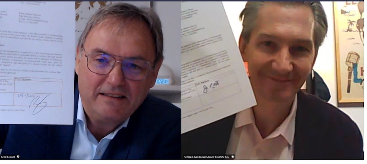 BiovIntCIAT_eng's tweet photo. 🤝 The Alliance is proud to join forces with @Agriterra to support climate-smart cooperatives. Today @jlucasrestrepo and @KeesBloklandPhD signed an agreement to make our partnership official. 

Read about how our strengths complement each other here 👉 https://t.co/Gf5CCSTrcr https://t.co/PbD8CXZz8J