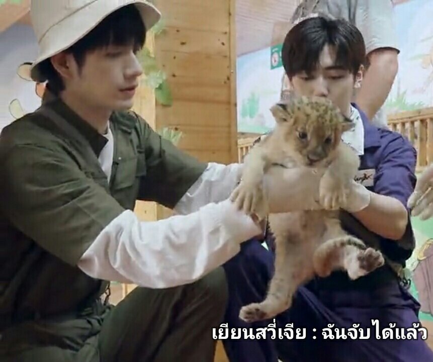 bike_wanwisa's tweet photo. น่าร้ากกกก ช่วยกันนวดตูดน้องสิงโตน้อย~ 😍😍
( Super R1SE 1st Year ep.5 )
.
.
.
#YanQi #XuJia #R1SE #ZhangYanQi #YanXuJia #จางเหยียนฉี #เยียนสวี่เจีย #เหยียนฉี #สวี่เจีย https://t.co/2h1hVZYYKE