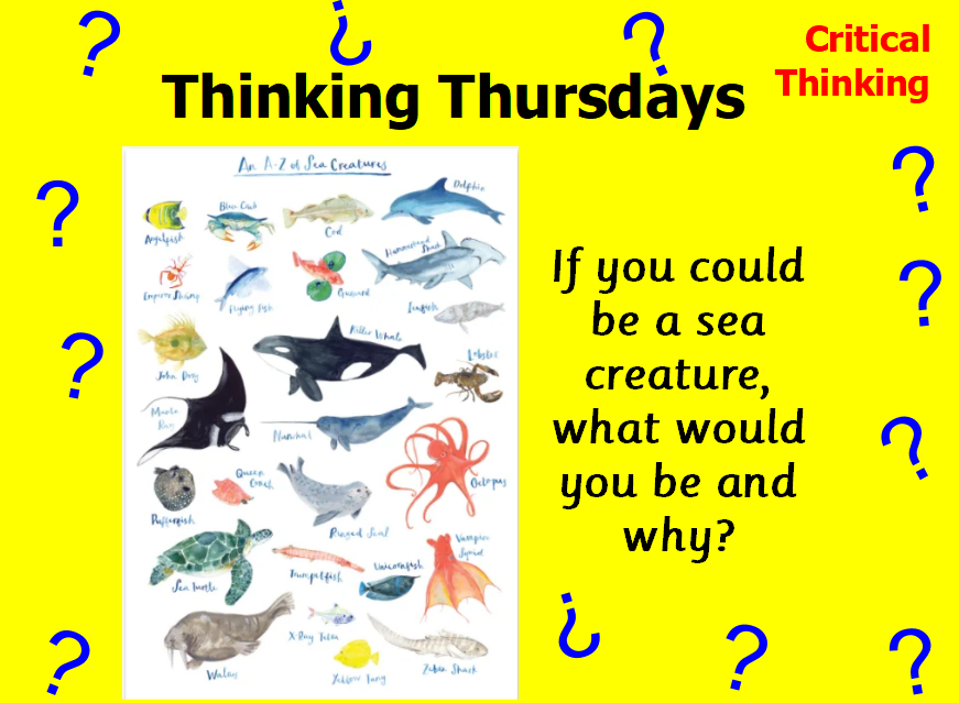 P4C Sandringham tweet media