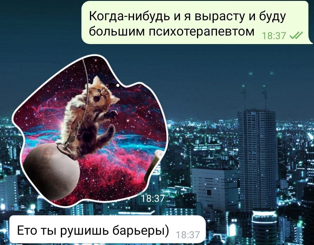 Крис 🌿 💛💙 tweet media