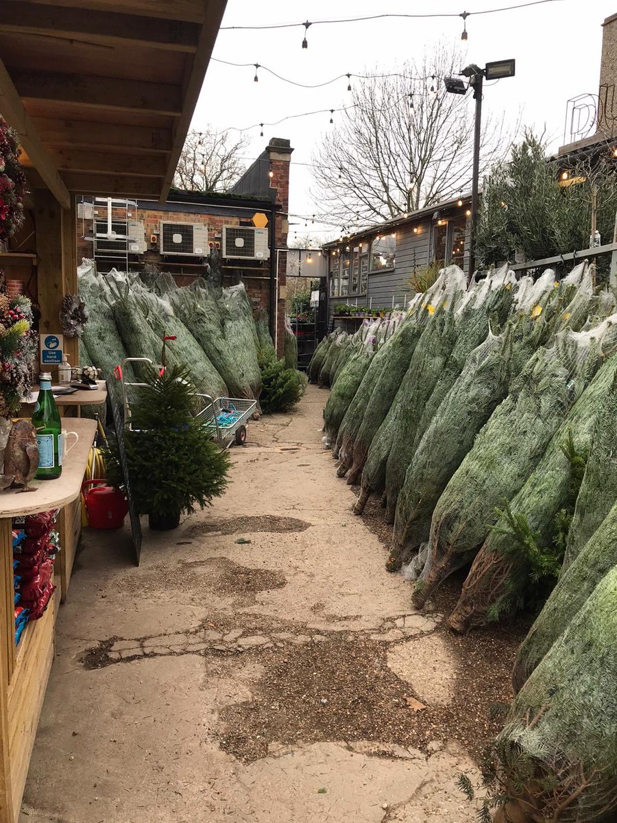 They’re here! And we’re open for business. It is crowded so please wear a face covering unless exempt.