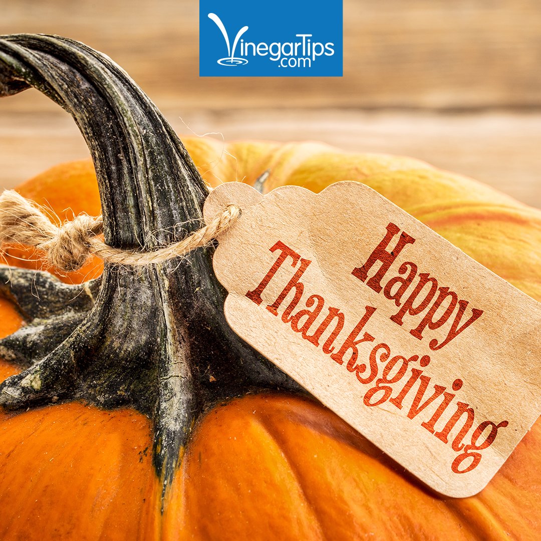 VinegarTips's tweet photo. Happy Thanksgiving from the Vinegar Tips family! Thanks for making us a part of your daily life. 🦃 https://t.co/S5NcZY221B