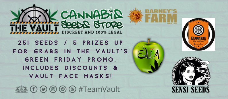 The_Vault_Seeds's tweet photo. The Vault's next bumper promo is LIVE for GREEN FRIDAY🌱 There are a total of 251 seeds up for grabs and some top merch from Barney's Farm, Sensi Seeds, EVA Seeds &amp; Kannabia! Get involved and don't be green with envy if you forget to enter! 

https://t.co/pZnGbhdn2O 

#TeamVault https://t.co/SKUPyk5gtn